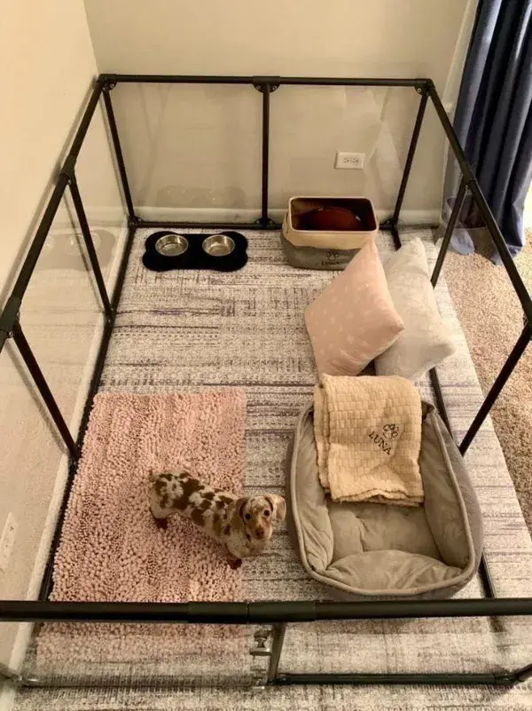 indoor dog room | 20 dog bed decor ideas | dog space ideas  | dog nook