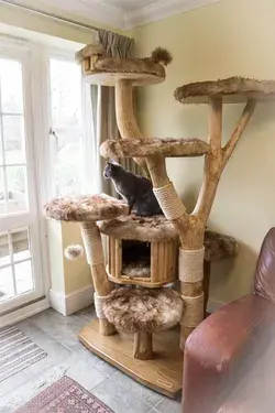 Woodside Cat Trees Cat Furniture Creations Gallery | Cute Cat Tree Ideas