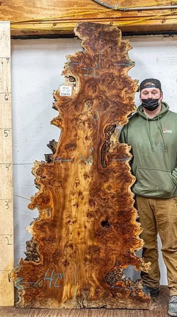 California Cottonwood burl. Item # 7781x04