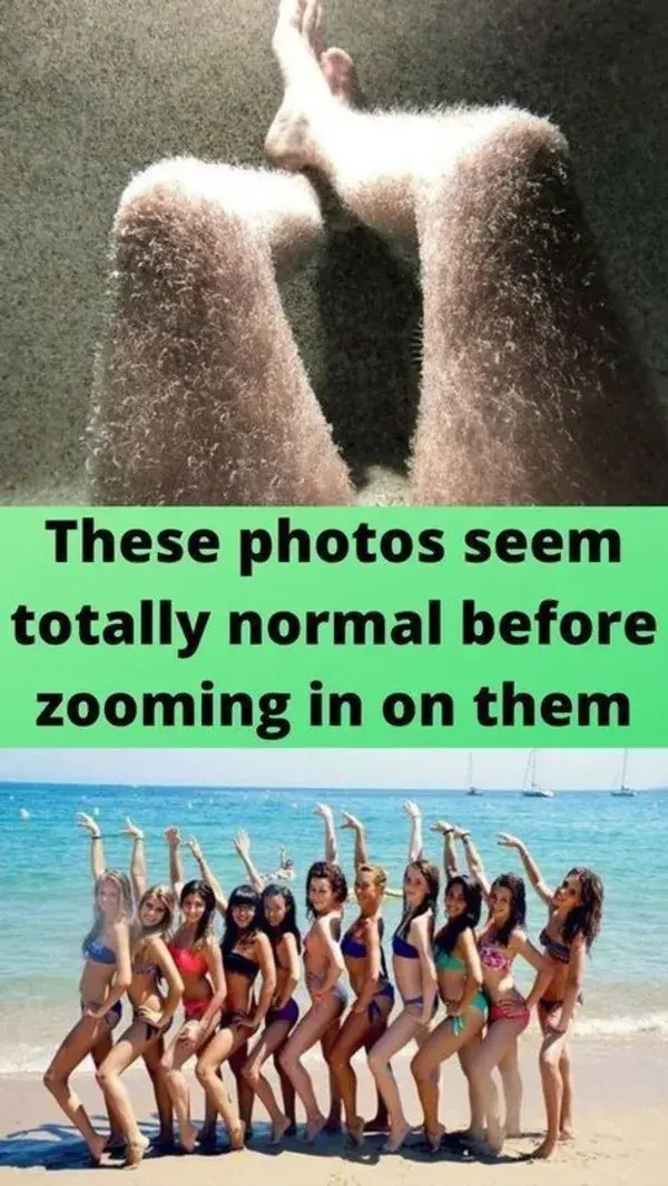 These photos seem totally normal before zooming in on them