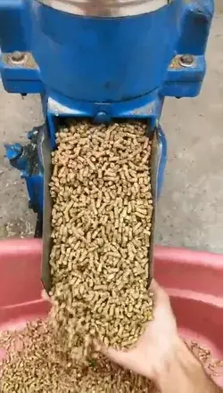 4mm Chicken Feed Pellet extruding machine for poultry farm | HUAYO AGRO