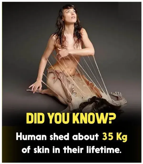 Weird Human body Facts