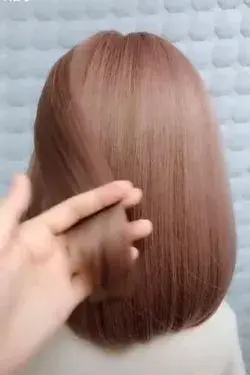 Elegant Hairstyle