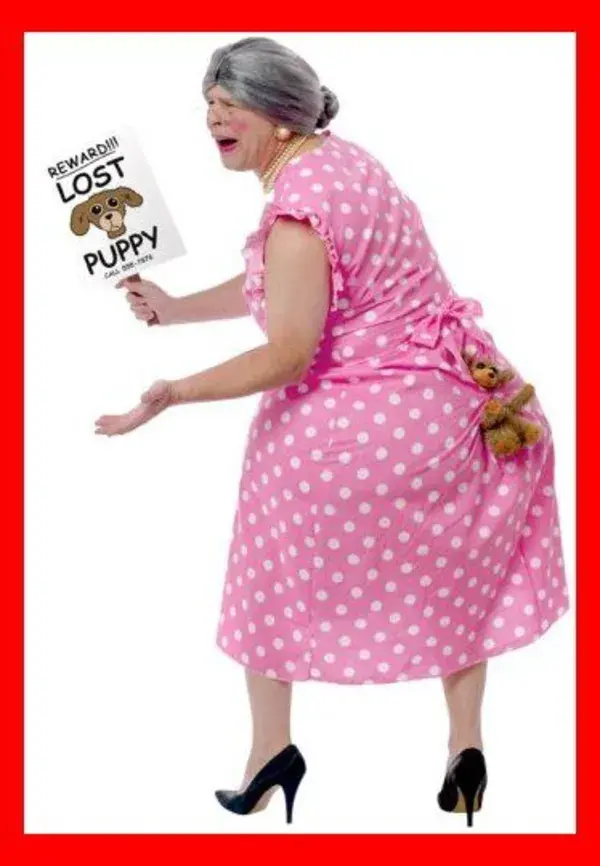 Amazon.com FunWorld Lost Puppy Humorous Costume | Creative Couples Costumes | Creative Couple...