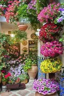 balcony garden  ideas apartment