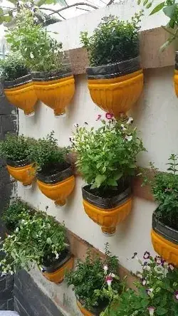 Vertical garden