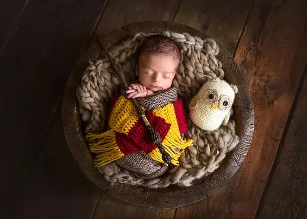 Newborn Portraits - The Portrait Masters Photography Awards