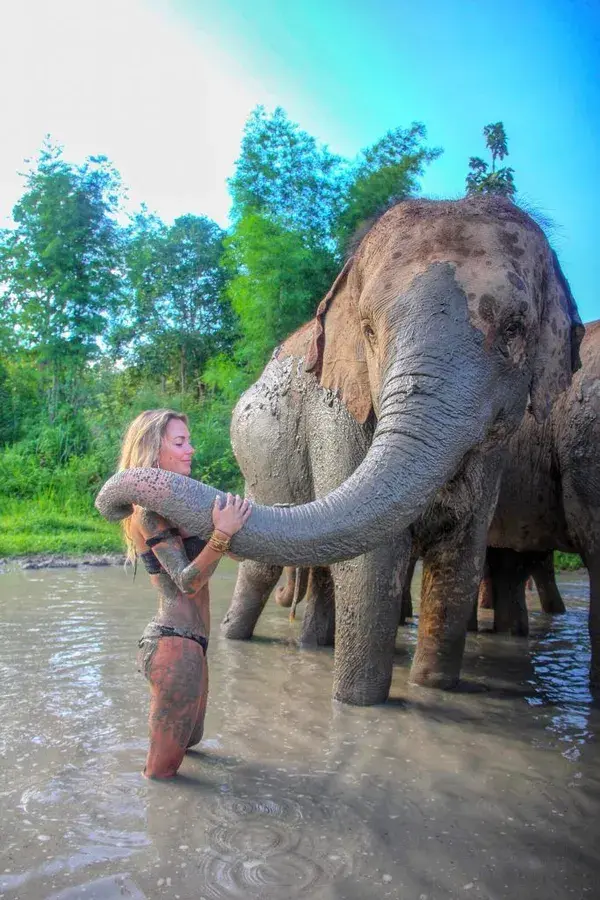 How to Find Ethical Elephant Sanctuaries in Chiang Mai