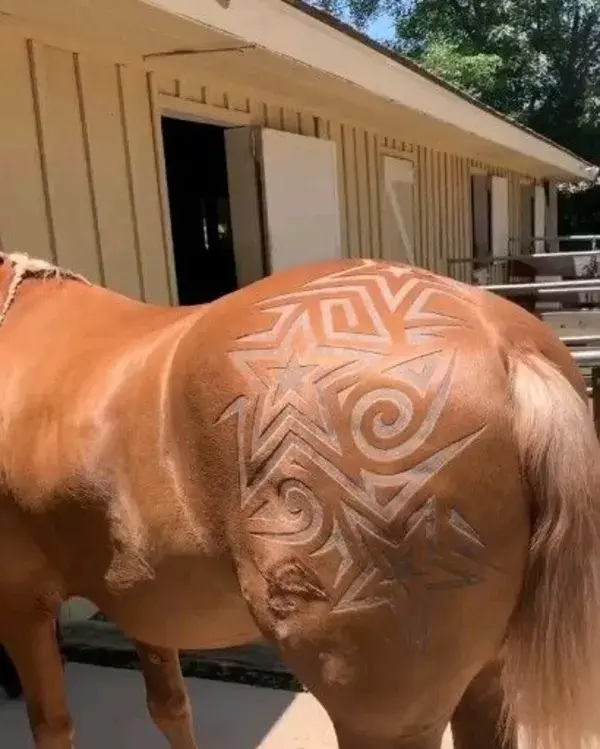 Incredible artwork in horse hair created by Mexican barber @robtheoriginal 💈🐎