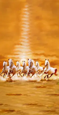 7 horses