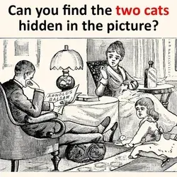 Solve this....