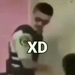 Xd
