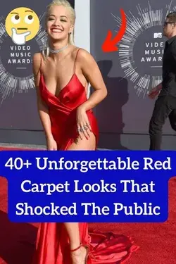 40+ Unforgettable Red Carpet Looks That Shocked The Public