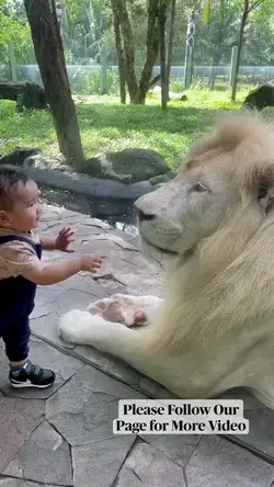 So Beautiful And Cute Baby At Zoo 😱