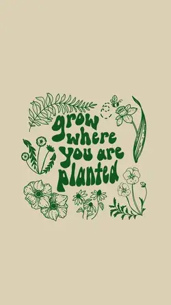 grow where you are planted