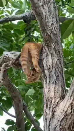 www.boredpanda.com