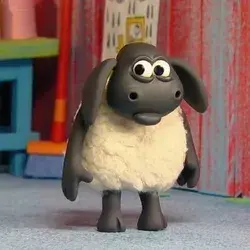 This sheep