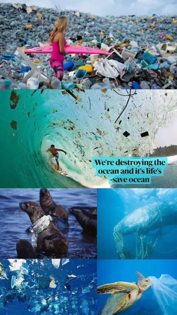 We're destroying the ocean and it's life's -#saveOcean #save #sea #sealife #animals #ThunderEngines