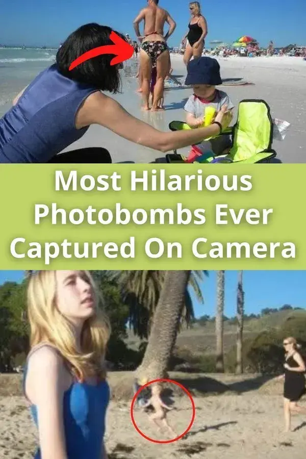 Most Hilarious Photobombs Ever Captured On Camera