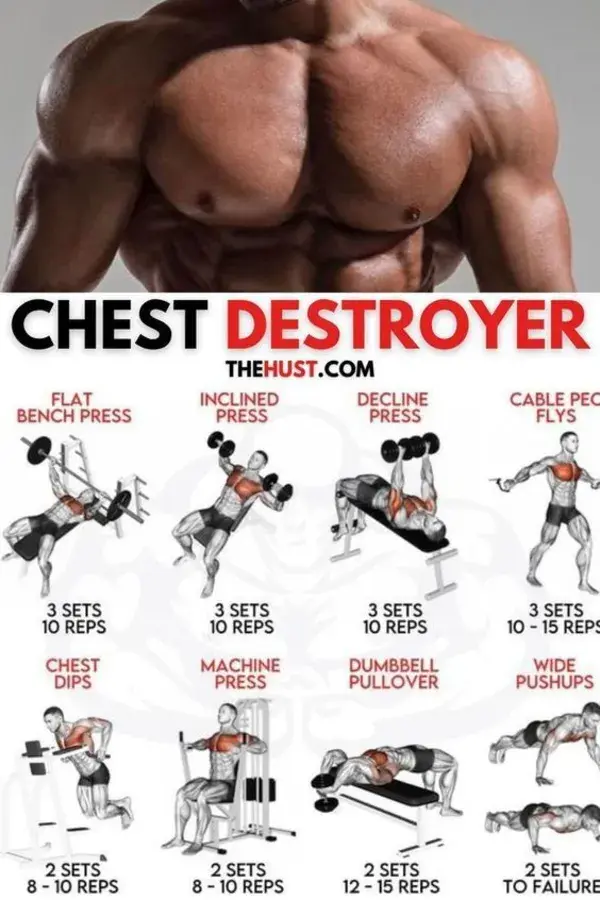 upper body GYM workout