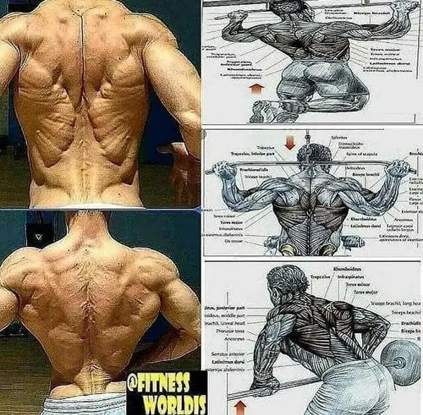 www.fitnessandpower.com