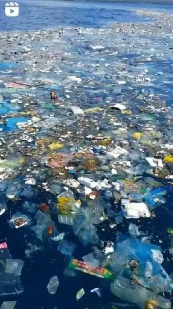 Plastic pollution