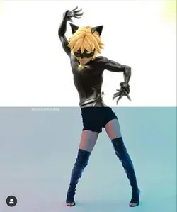 Yes chat noir