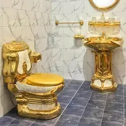 Gold toilet