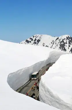 www.alpen-route.com