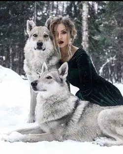 Two wolves and girl