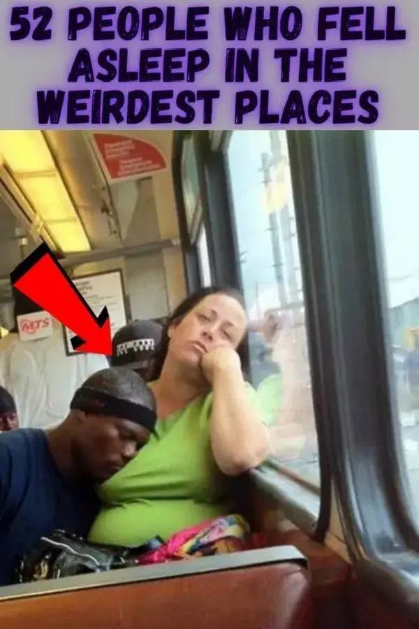 52 people who fell asleep in the weirdest places