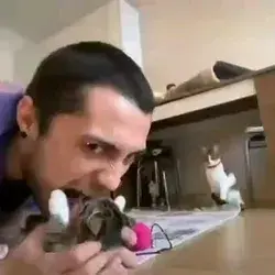 Cat attack to his owner