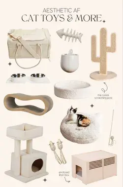 Aesthetic AF Pet Toys & More · Allison Kelley | But What Should I Wear