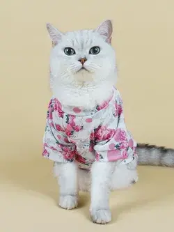 1pc Flower Print Pet Sweatshirt