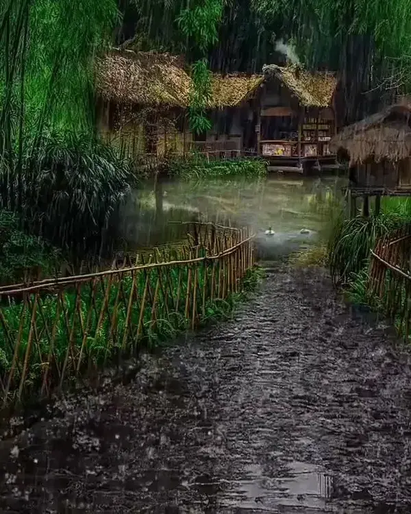 Rainy season 🌧️So calming 😌