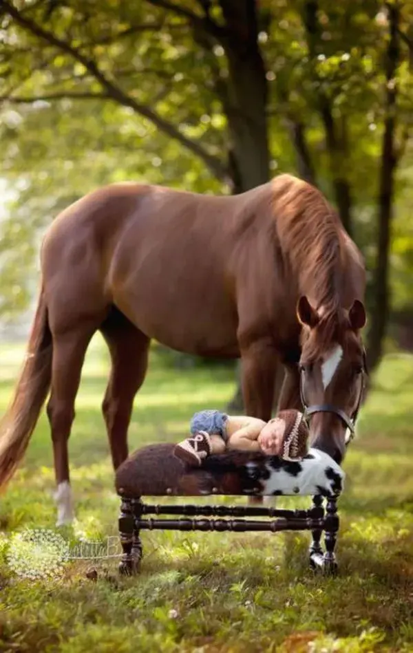 Adorable Photos of Babies and their Pets