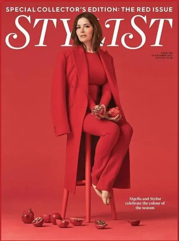 Stylist Cover