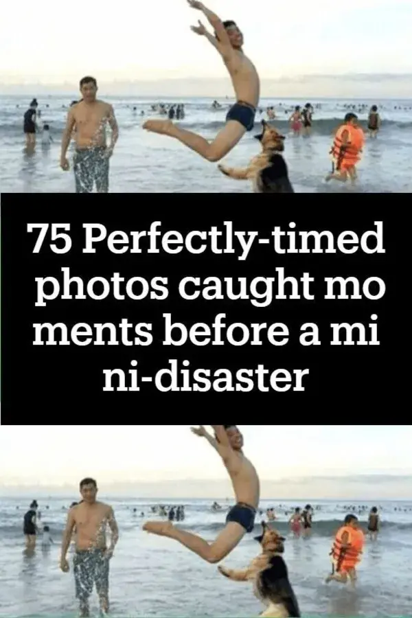 75 Perfectly-timed photos caught moments before a mini-disaster