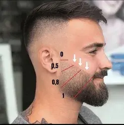 Beard fade stages