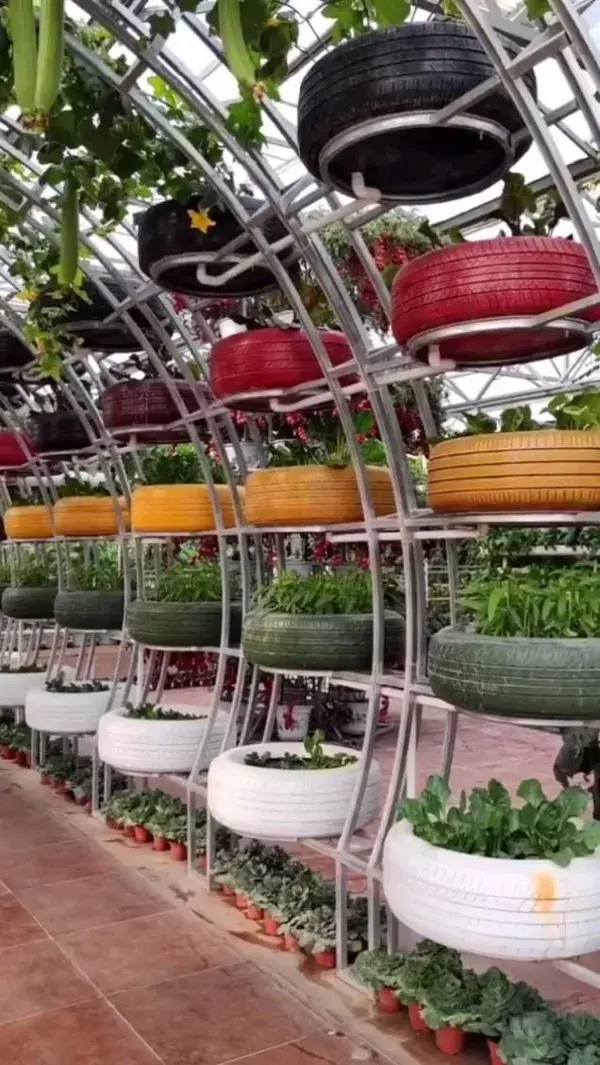 Garden idea everyone can do!