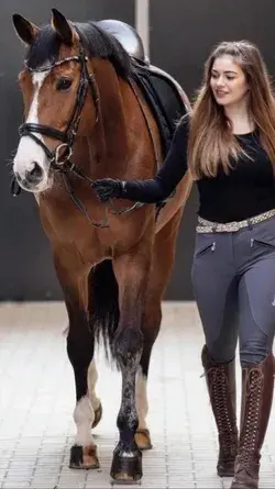 Girl/Horse/Riding