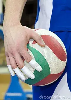 www.volleywood.net