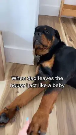 The world ends when dad leaves the house