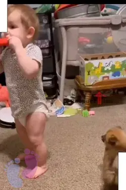 Hilarious Baby Moments | Cute Baby Laughing and Laughing #crying #laughter #switched #funny