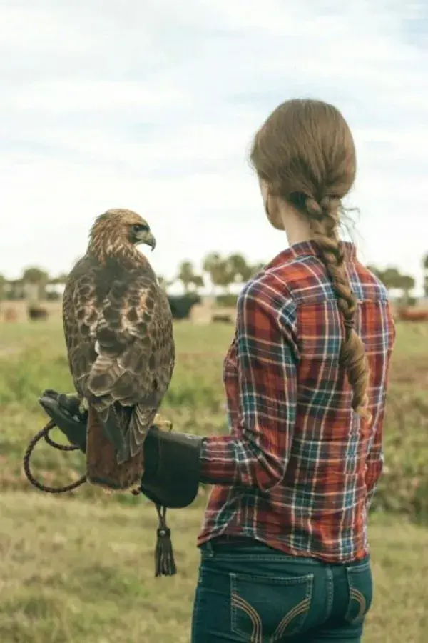 fieldsofpheasants.tumblr.com