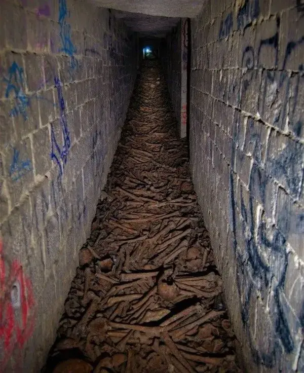 The illegal section of the Paris Catacombs