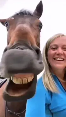 This fits perfectly with the horse