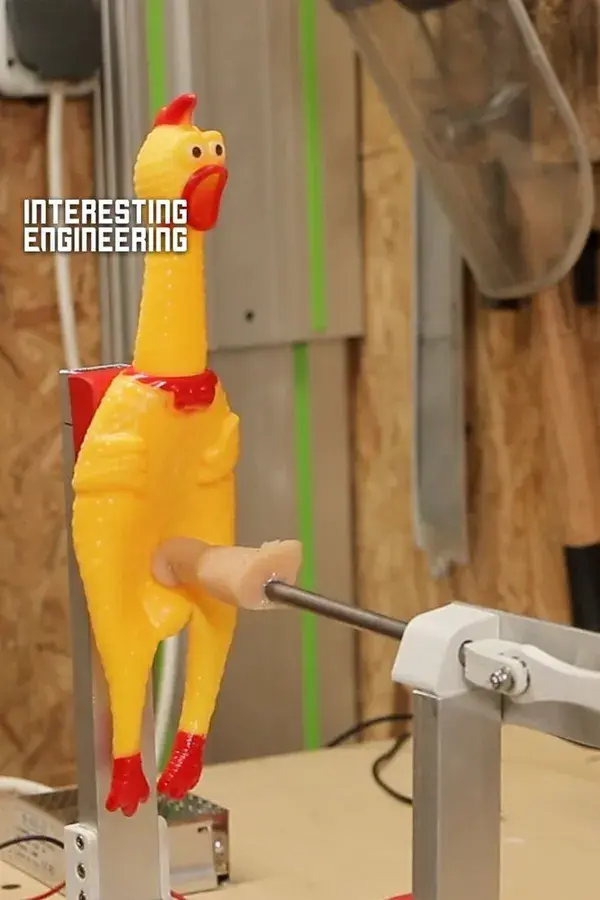 Make Your Own Automated Rubber Chicken Pusher with This Guide