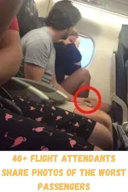 40+ Flight Attendants Share Photos Of The Worst Passengers