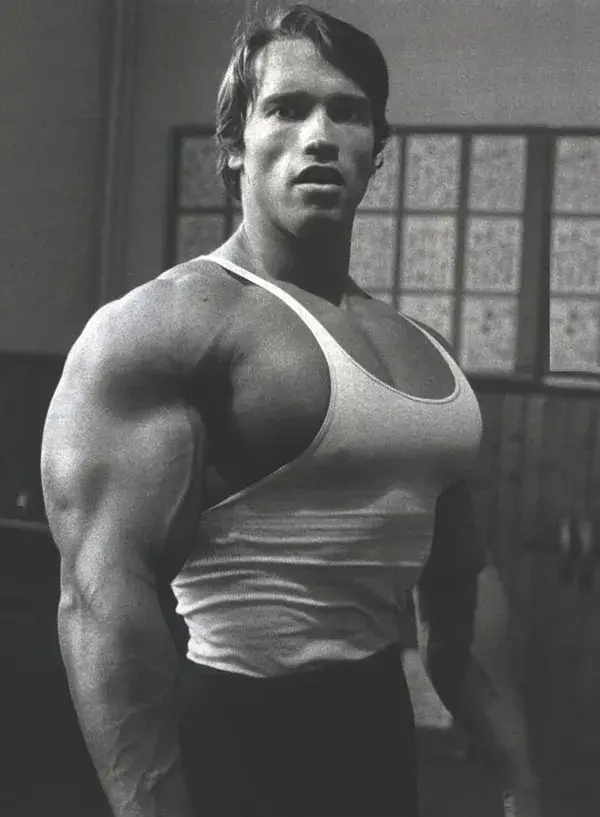 Arnold Schwarzenegger